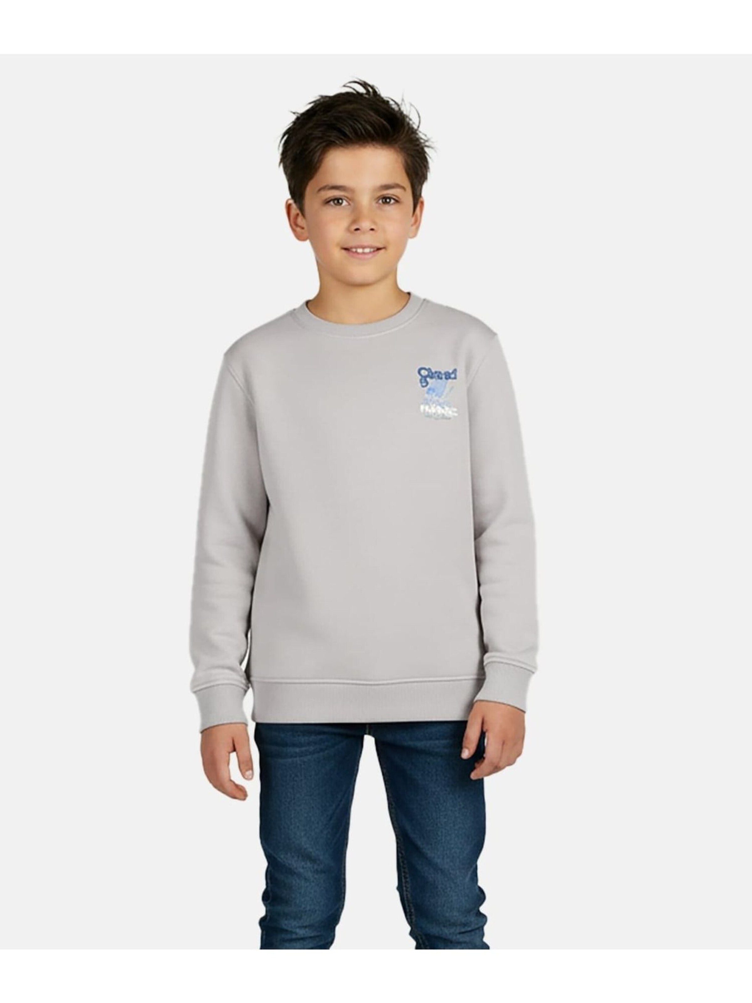 CARS Sweatshirt in Grey