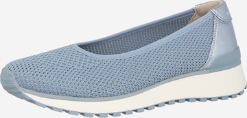 mėlyna CAPRICE Batai be raištelių: priekis