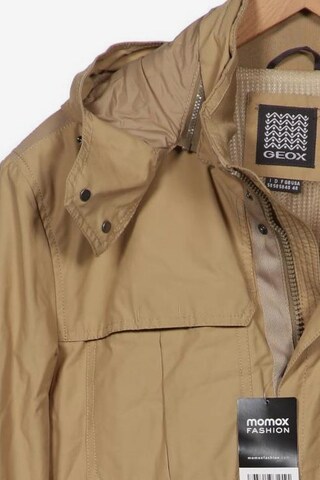 GEOX Jacket & Coat in XXL in Beige