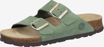 DR. BRINKMANN Mules 'Bonillo' in Green: front