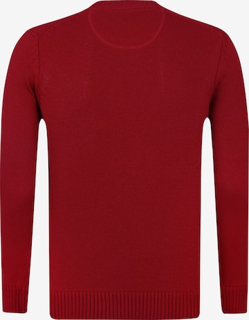 Pullover 'Brian' di DENIM CULTURE in rosso