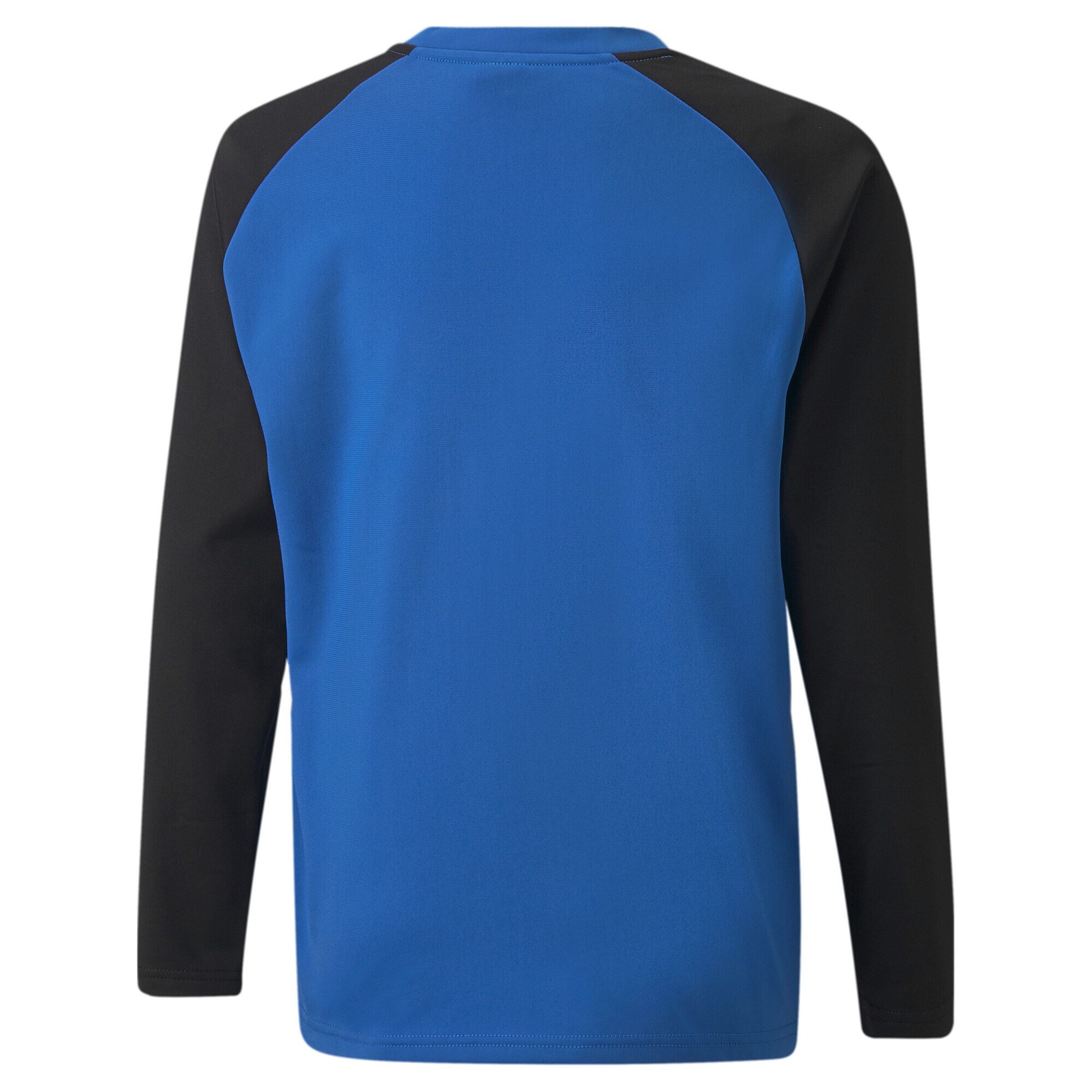 PUMA Funktionsshirt 'TeamLiga' in Blau