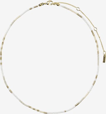 Pilgrim Halsband 'Alison' i guld: framsida