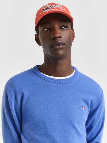 GANT Trui in Blauw