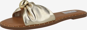 STEVE MADDEN Sandalen met riem 'Dipsy-CNE' in Goud: voorkant