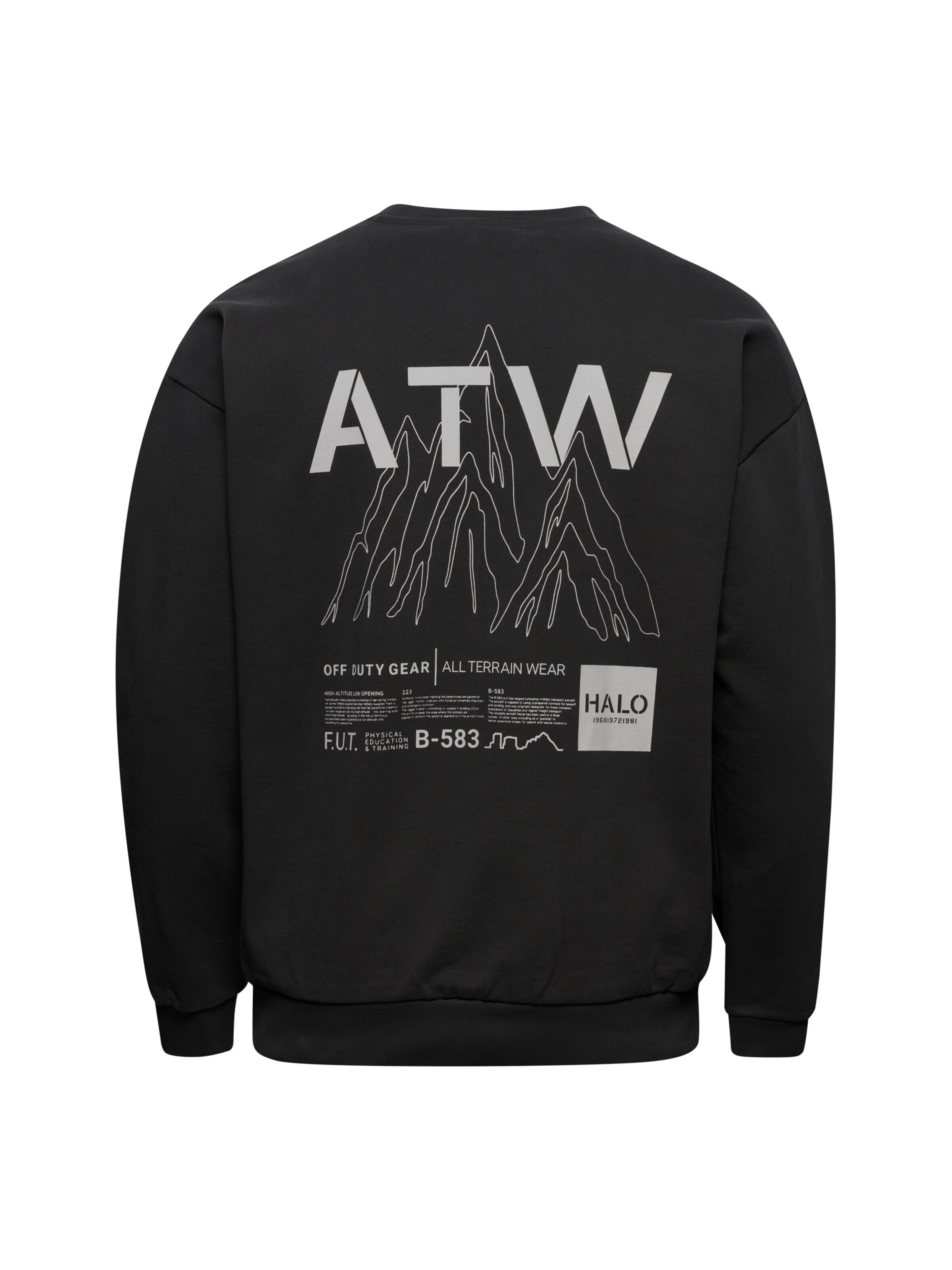 HALO Sweatshirt in Grau