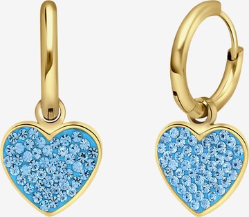 Boucles d'oreilles Lucardi en or : devant