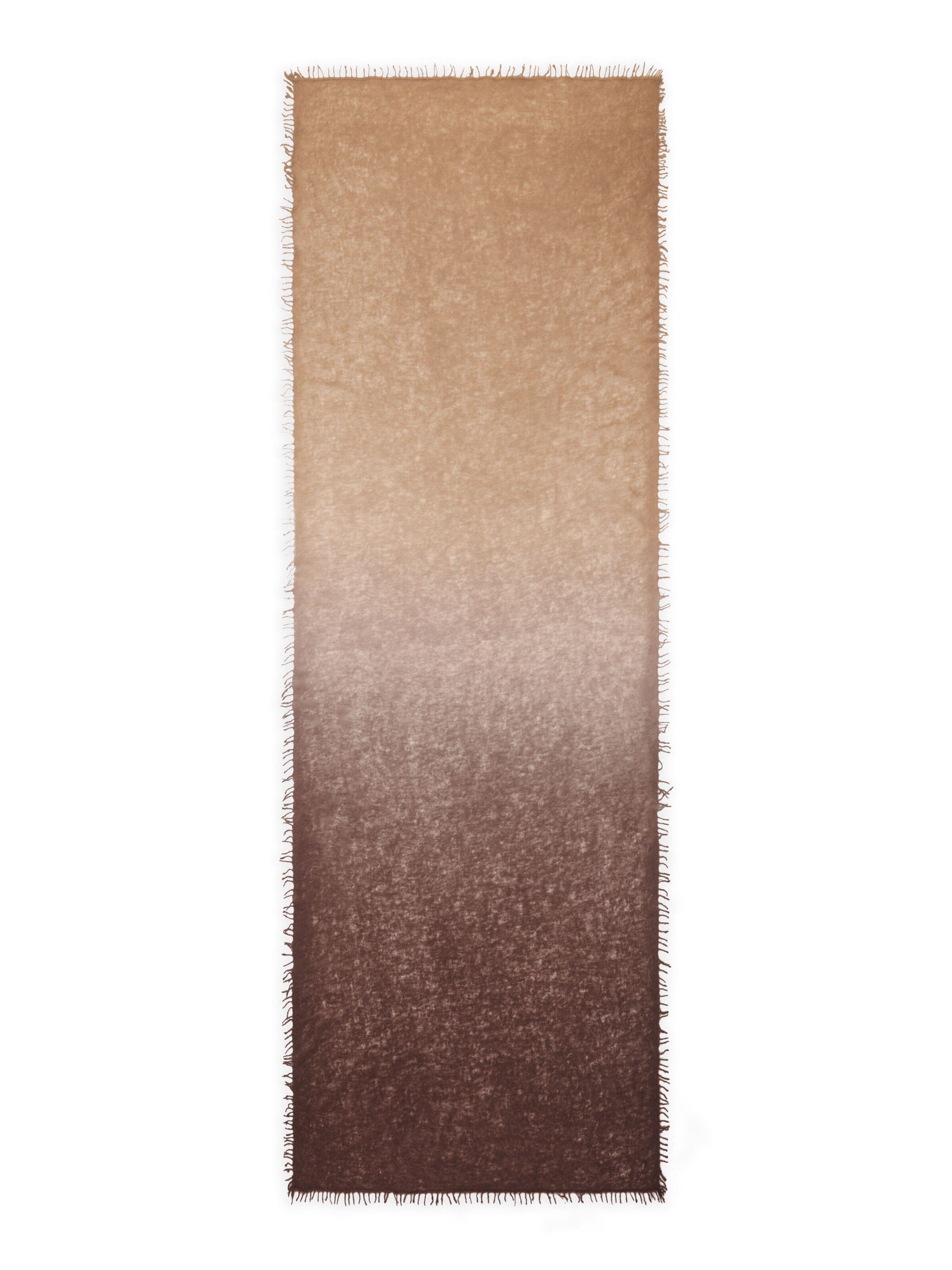 Écharpe CODELLO en marron