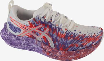 Chaussure de course 'Gel-Noosa Tri 16' ASICS en violet : devant