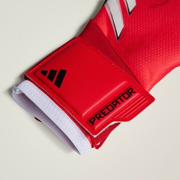 ADIDAS PERFORMANCE Sporthandschuhe 'Predator Pro' in Rot