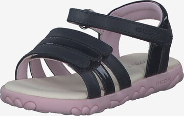 GEOX Sandals in Blue: front