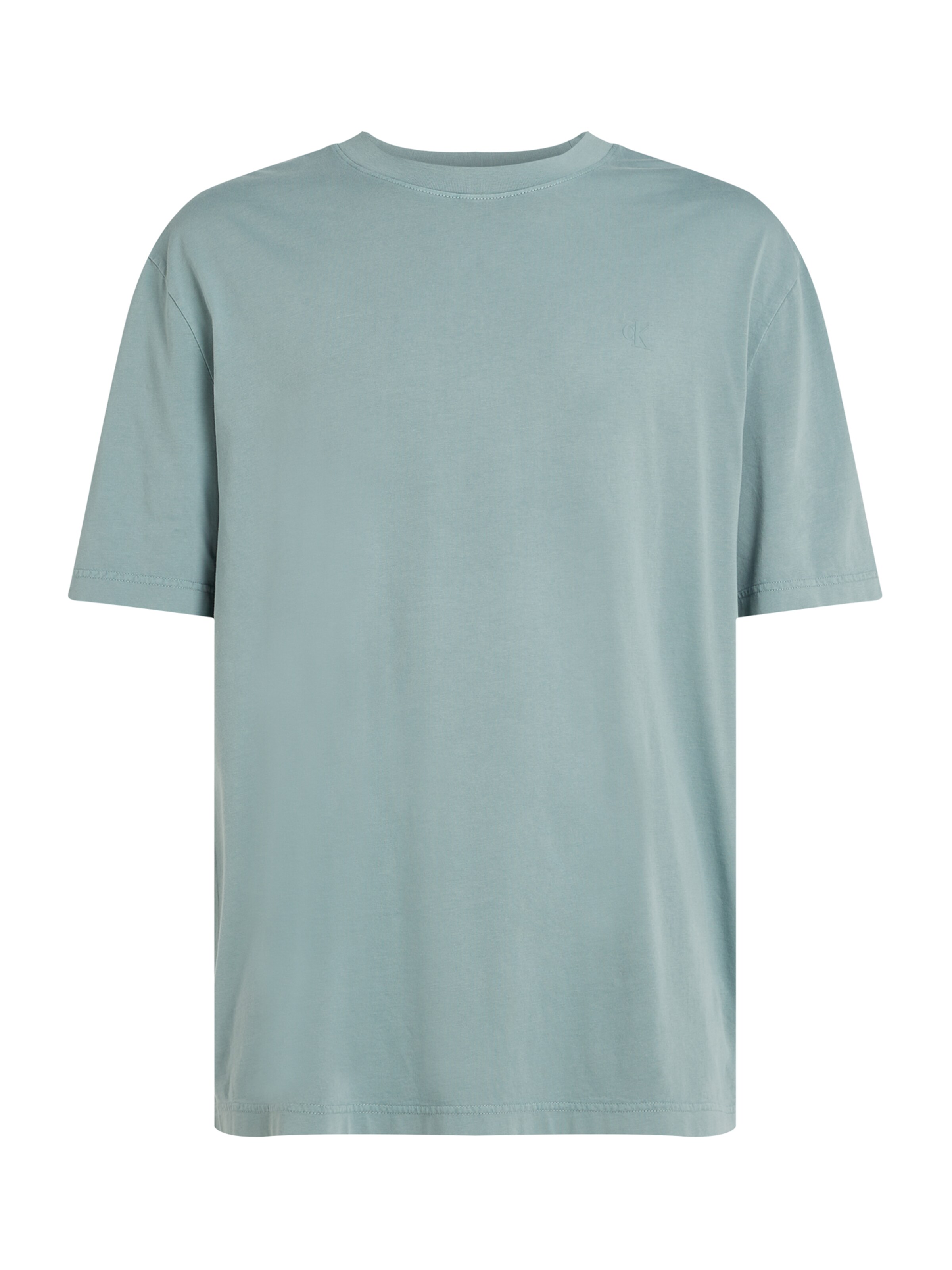 Calvin Klein Jeans Bluser & t-shirts i blå: forside