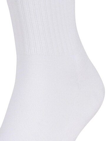 FALKE Socks 'Dynamic' in White