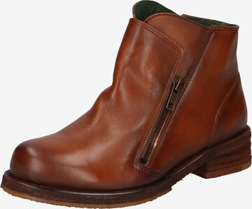 Bottines 'Cooper' FELMINI en marron : devant