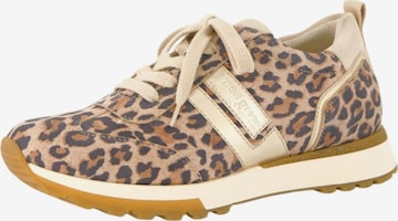 Sneaker bassa di Paul Green in marrone: frontale