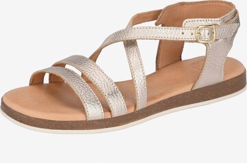 Apple of Eden Strap Sandals ' IRINA ' in Gold: front