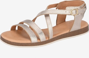 Apple of Eden Sandalen met riem ' IRINA ' in Goud: voorkant