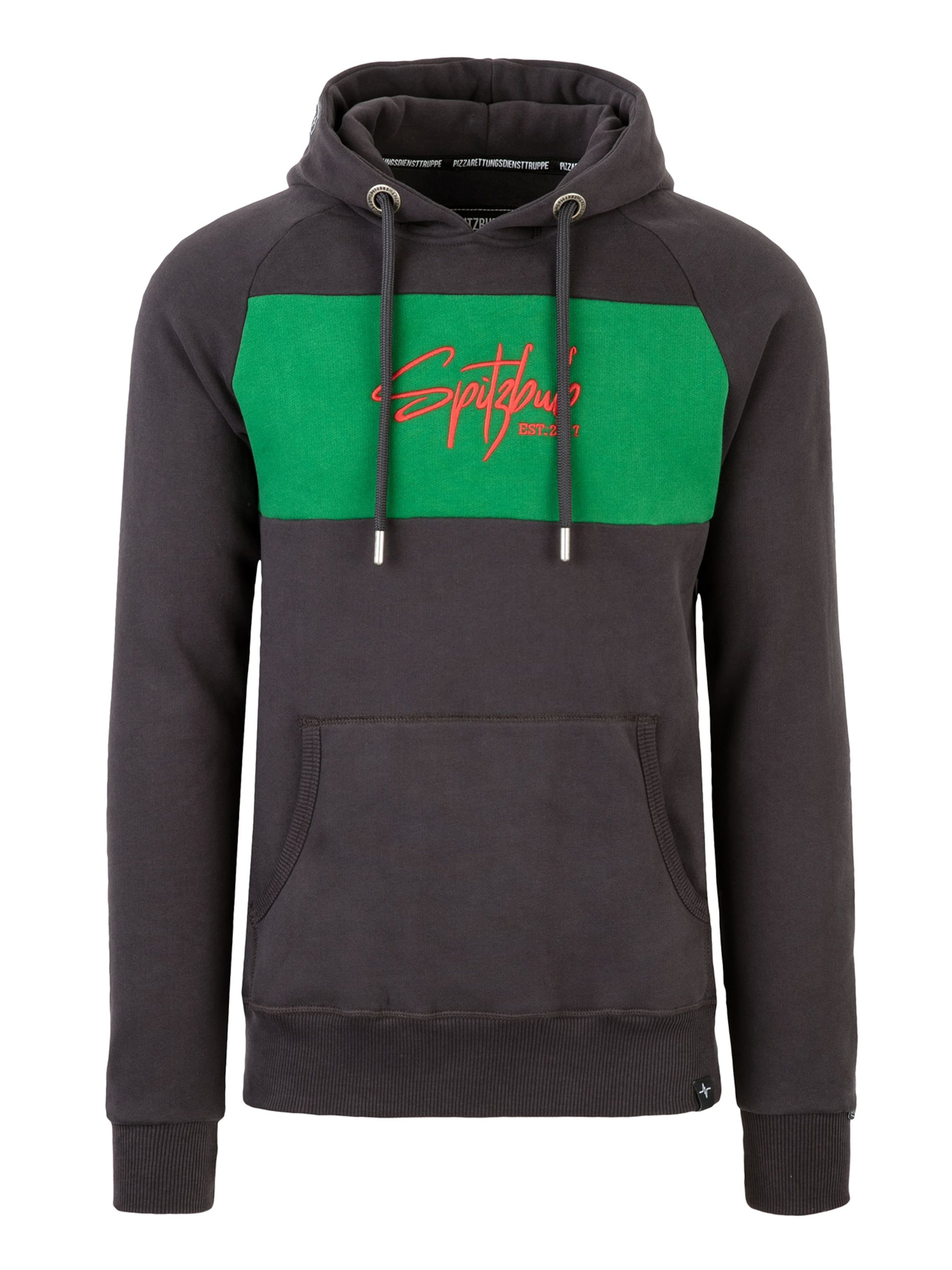 SPITZBUB Sweatshirt' Unframed Street' in Grau: Vorderseite