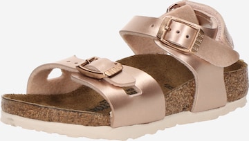 bronzinė BIRKENSTOCK Atviri batai 'Rio': priekis