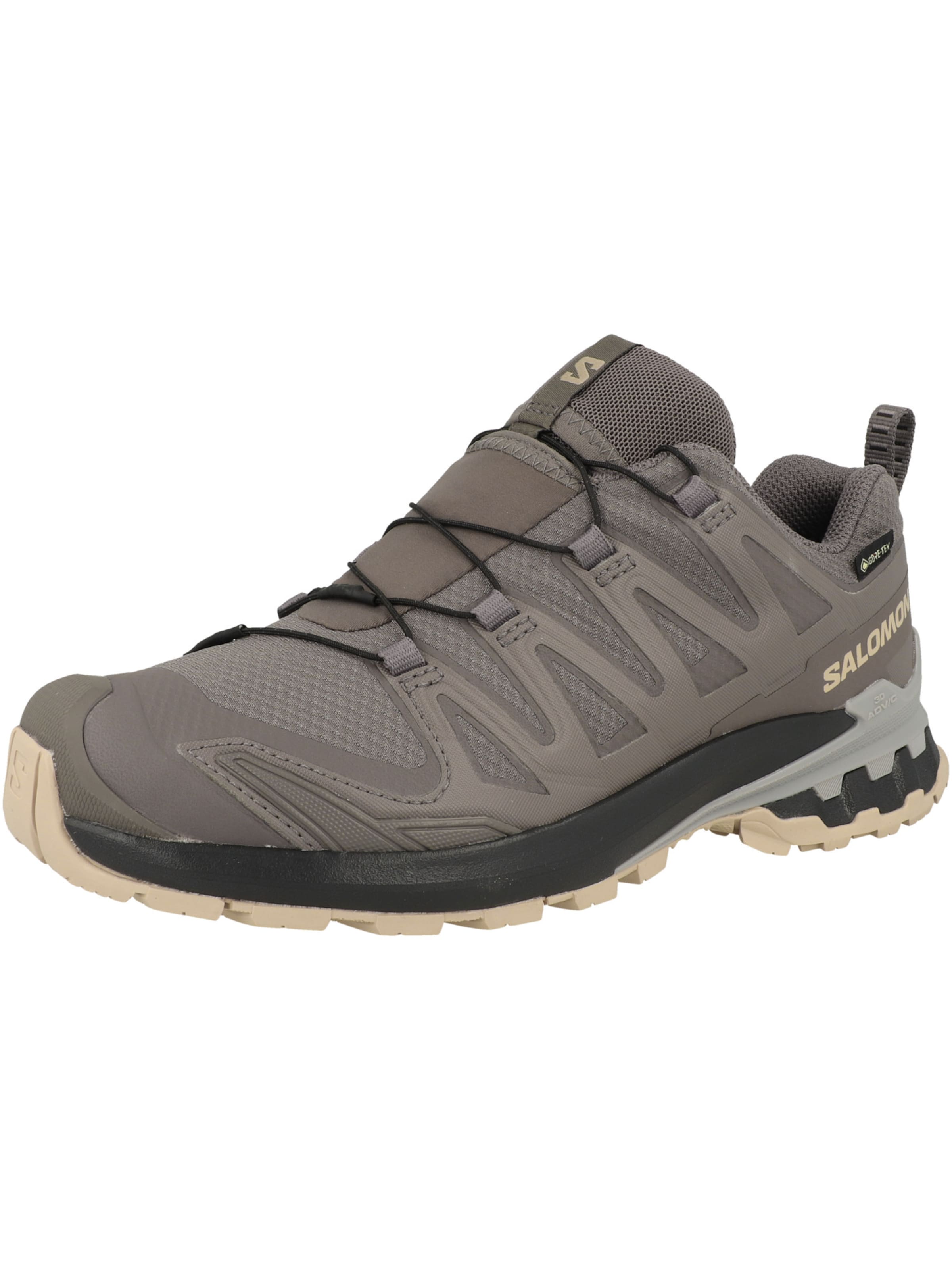 SALOMON Running Shoes 'XA Pro 3D V9' in Purple: front