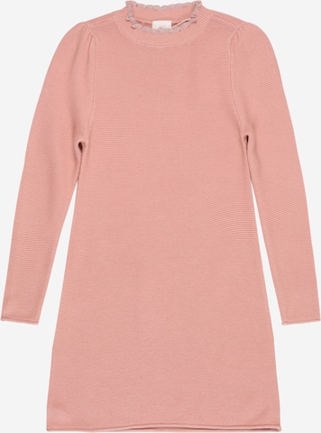 s.Oliver Dress in Pink: front