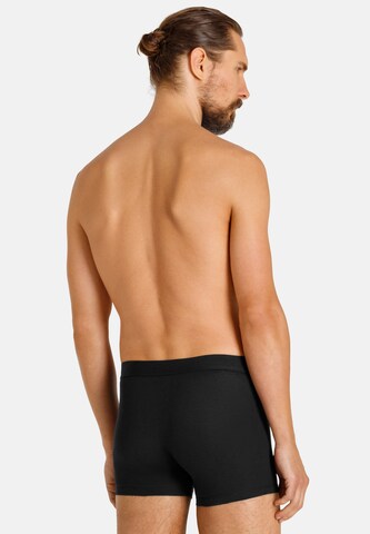 camano Boxershorts in Grijs