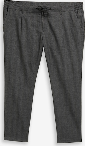 Regular Pantalon chino TOM TAILOR Men + en gris : devant