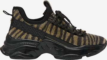Baskets basses 'Maxilla-S' STEVE MADDEN en mélange de couleurs : devant