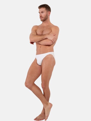 HOM Slip ' Plumes ' in Beige