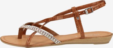 SCAPA T-Bar Sandals in Brown