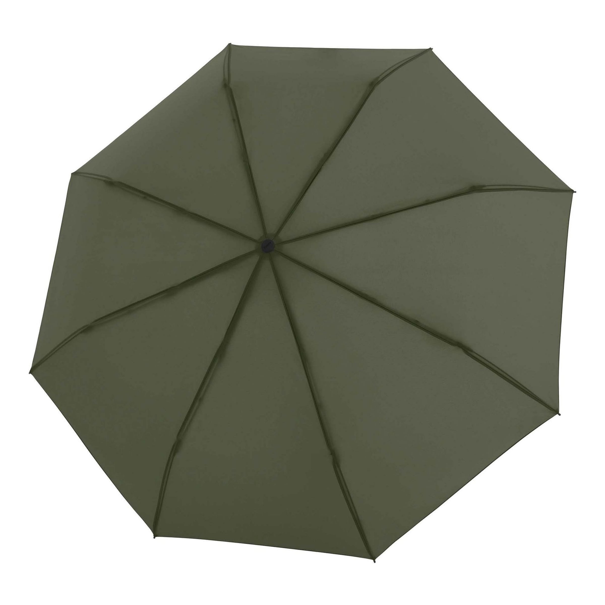 Parapluie 'Timber ' KNIRPS en vert : devant