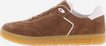Chaussure à lacets 'Schnürschuh Herren 123 43 Echtleder in braun' SIOUX en marron : devant