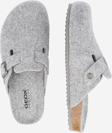 GEOX Slippers in Grey