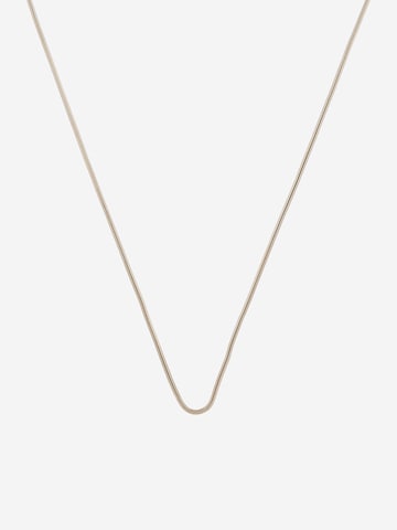 TOMMY HILFIGER Necklace in Gold