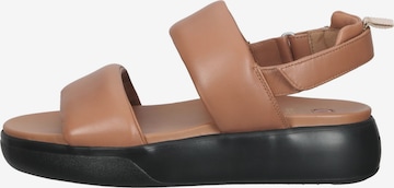 Högl Sandals in Brown
