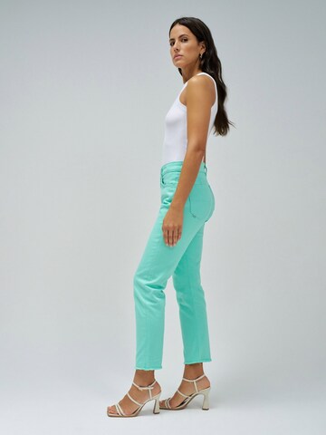 Coupe slim Jean 'True' Salsa Jeans en vert