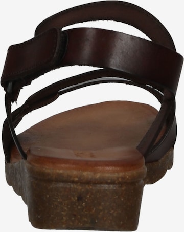 COSMOS COMFORT Strap Sandals in Brown