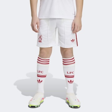 ADIDAS PERFORMANCEregular Sportske hlače 'Liverpool FC 26/27' - bijela boja: prednji dio