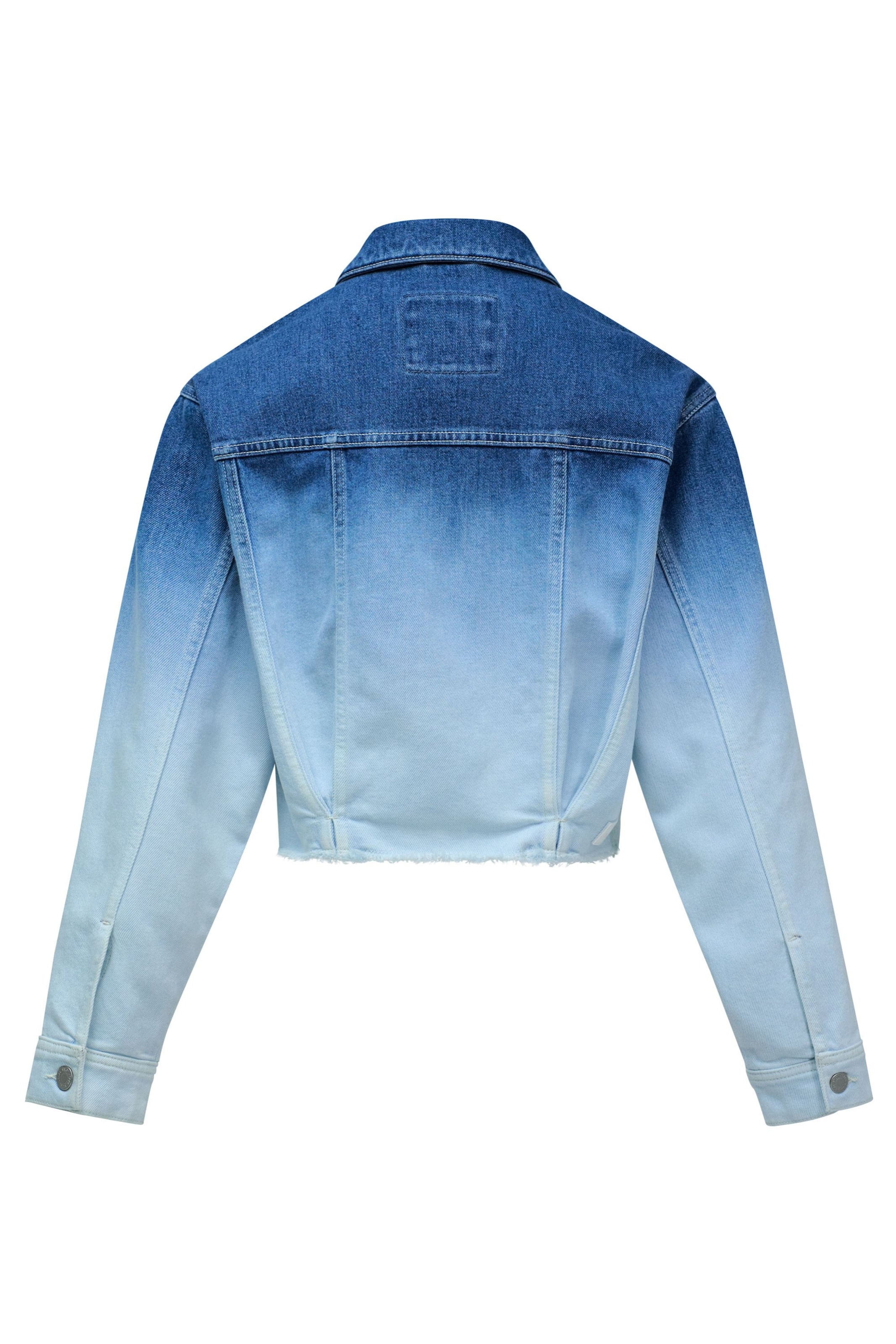 Salsa Jeans Jacken in Blau