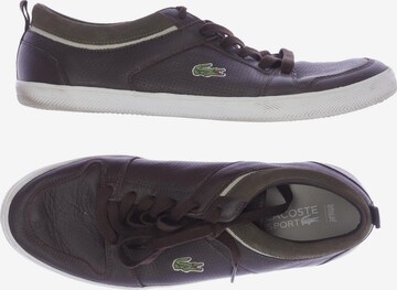 Lacoste Sport Sneakers & Trainers in 44,5 in Brown: front