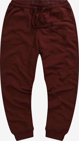 JAY-PI Tapered Pants in Brown: front