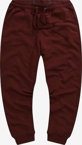 JAY-PI Pants in Brown: front