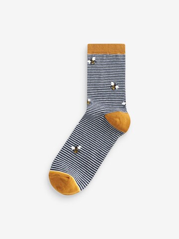Chaussettes Next en mélange de couleurs