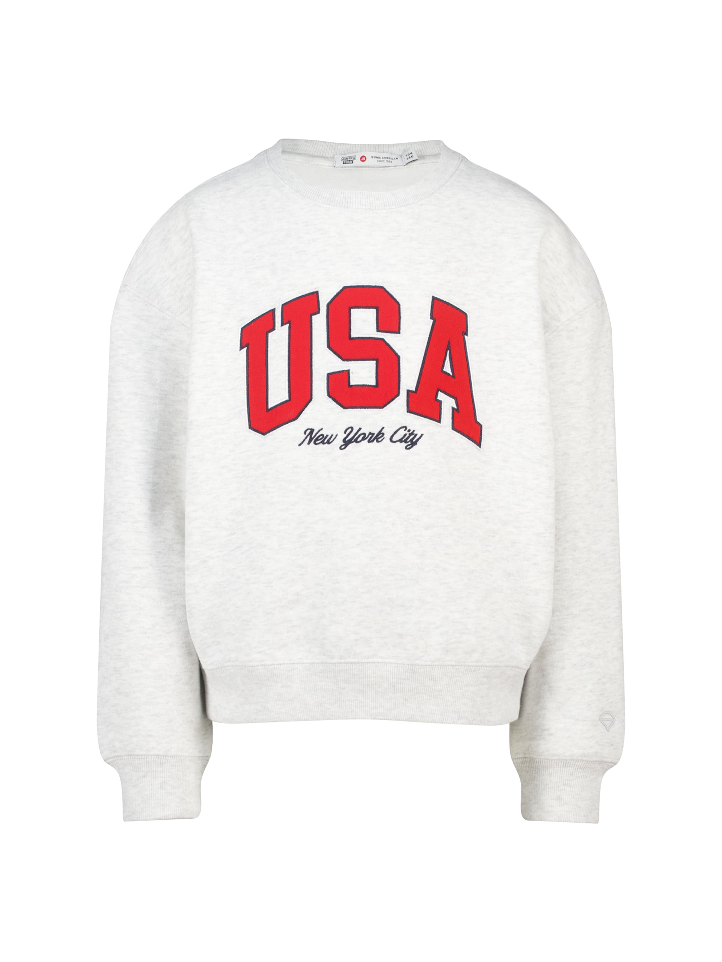 America Today Sweatshirt in Grey: front
