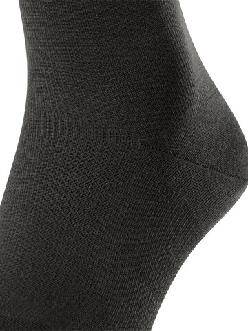 FALKE Knee High Socks 'Energizing Cotton' in Brown