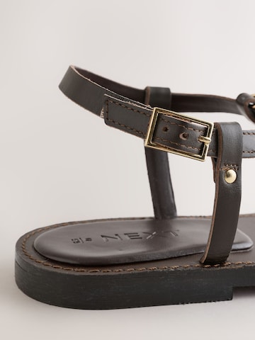 Next Zehentrenner in Braun