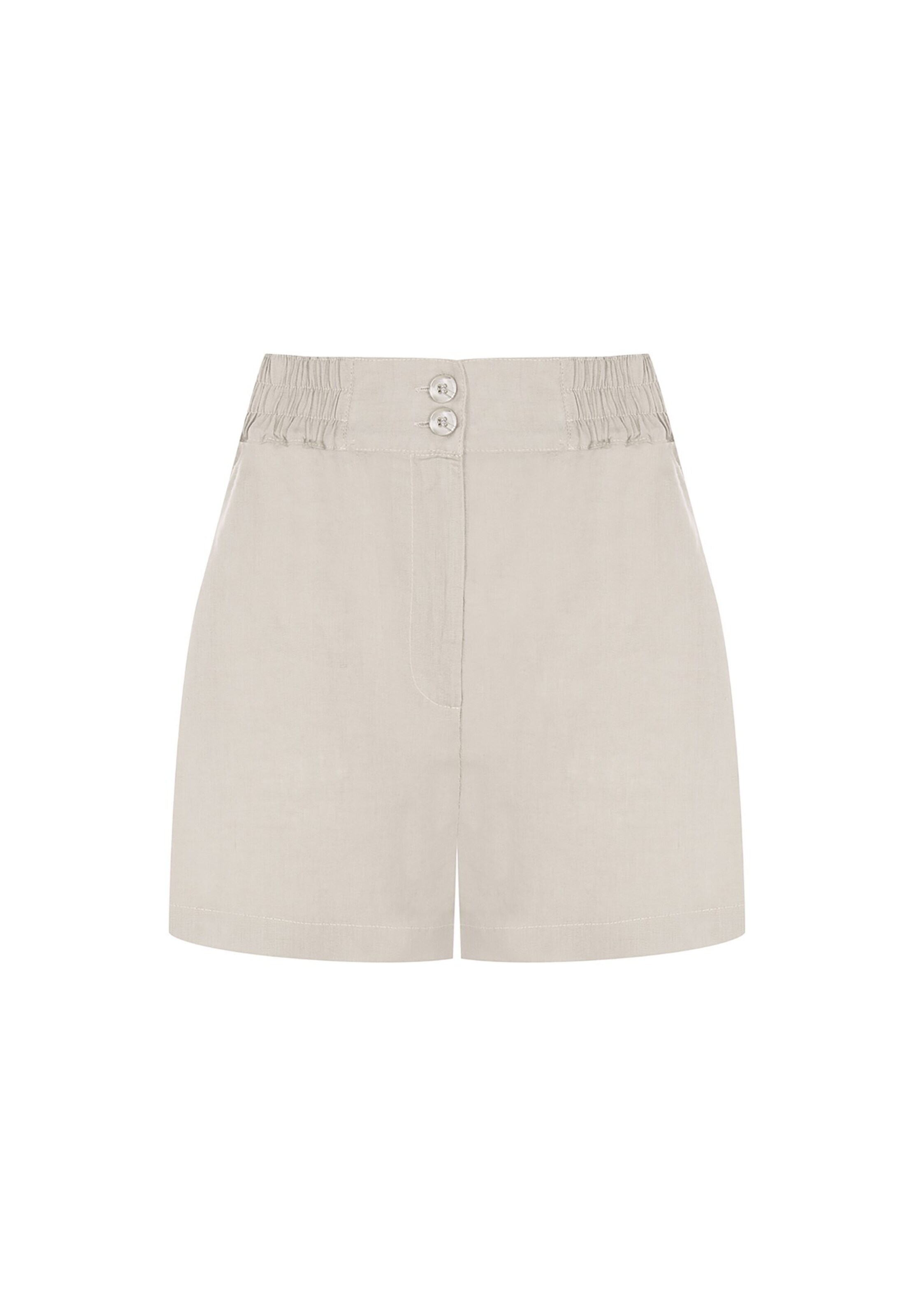 FRESHLIONS Regular Shorts in Beige: Vorderseite