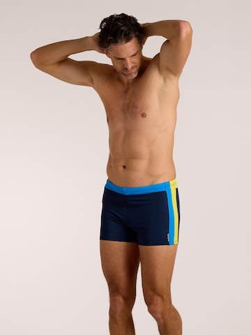 wavebreaker Swim Trunks in Blue