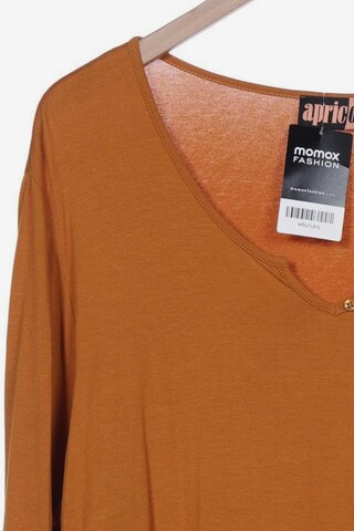 Aprico Top & Shirt in 6XL in Brown