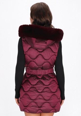 faina - Colete em vermelho